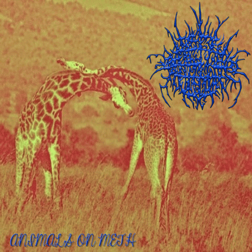 Brake Fluid Injection : Animals on Meth